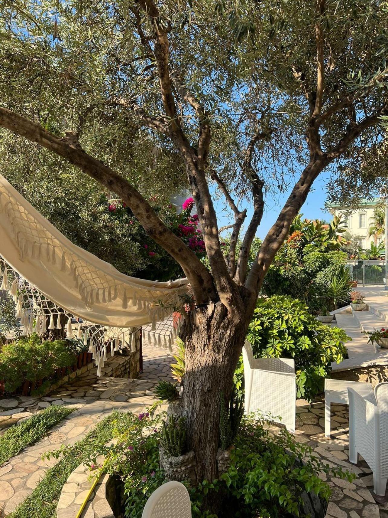 Hotel Orange Dhërmi Buitenkant foto